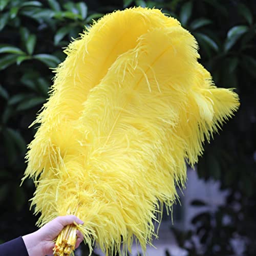 MUPUKKR Plumes d'autruche teintées de Couleur Rouge de première qualité, de 50 cm à 70 cm de Long.