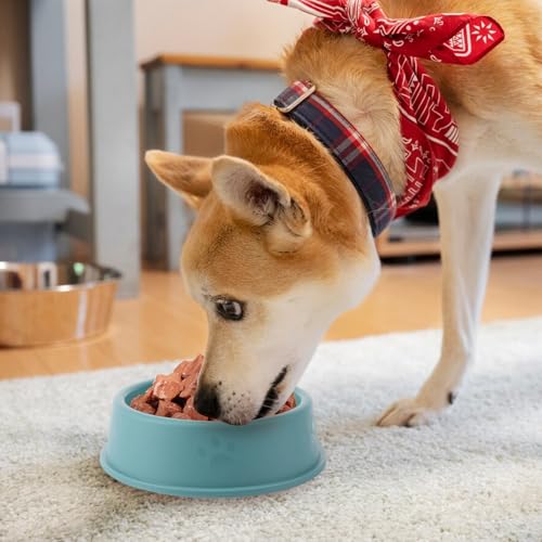 Bekecidi Hundenäpfe für Futter und Wasser, Stetige Plastikkatze Schüssel Hundeschüssel BPA-frei, Mehrzweck Anti-Slip Haustier Fütterungsschale für Hunde (Grün)