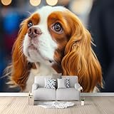 Poster Tableaux Muraux: Les peintures murales sont le choix parfait pour toute décoration intérieure ! Elles conviennent parfaitement pour décorer le salon, la chambre à coucher, la chambre d'enfant, le mur du téléviseur, la cuisine, la salle à manger, les hôtels, etc. Ce papier peint attirera l'attention de tous vos invités