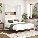 FAMAPY Queen Size Murphy Bed...