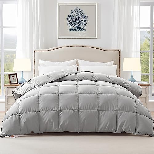 Globon Lightweight Down Comforter Queen Size, Ultra Soft All Season Duvet Insert, Natural Feather Down And Vegetable Down Blended Filling, Medium Warmth With Corner Tabs 90 * 90,Light Grey… #TOP11