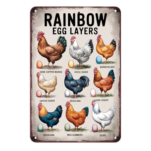 Rainbow Egg Layers Chicken Breed Chart Tin Sign, Vintage Chicken Coop Metal Sign Print Aesthetic Room Decoration for Home Bedroom Dorm Bathroom Wall Decor 8 x 12, easy to hang