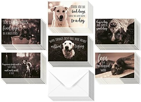 36 Pack Blank Motivational Greeting Cards with Dogs and Inspirational Quotes, Envelopes (4x6 In)
