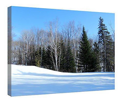 Impression sur toile New Fallen Snow avec cadre en bois 40x50 cm prêt à poser