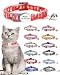 Moonpet Custom Personalized Breakaway Halloween Cat Kitten Collar with ID Name Phone Number Tag Plate/Customized Engraved Floral Pattern Boy Girl Cat Kitten Collar with Bell