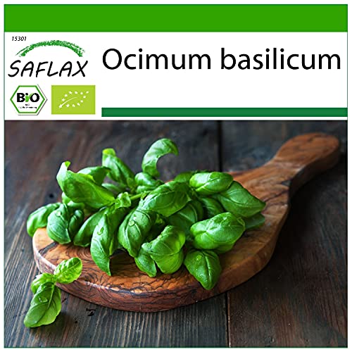 SAFLAX - Ecológico - Albahaca - Dulce Genovesa - 800 semillas - Ocimum basilicum