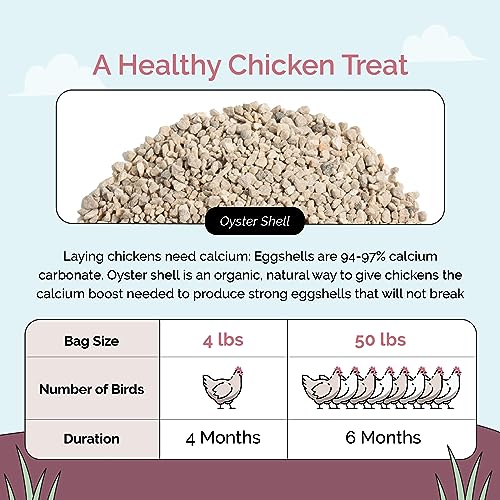 Mile Four OYSTER_SHELL_4 Oyster Shell For Chickens | Calcium thumb #6
