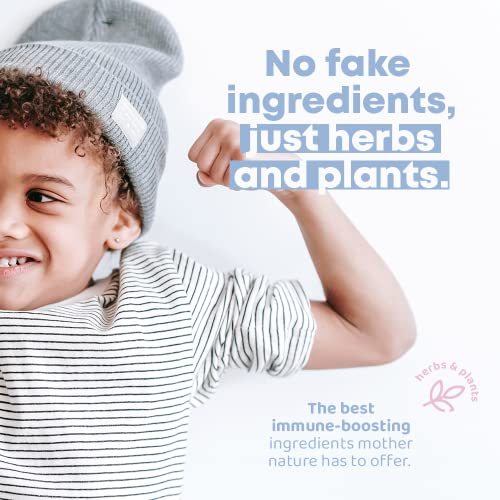 Joyspring Echinacea For Kids & Elderberry Syrup For Kids Immune Support And Kids Multivitamin Gummies Watermelon Flavored Toddler Multivitamins #TOP5