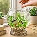 Plastic Fish Bowl 38 oz Decorative Small Mini Fishbowl Round Plastic Aquarium Fish Bowls Unbreakable Heavy Duty Bowl for Centerpiece Vases, Party Decorations, Pack of 1