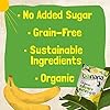 Barnana - Organic Chewy Banana Bites, Original, Chewy Banana Snack, Made With Real Fruit, High In Potassium, Kosher, USDA Organic, Paleo, Gluten-Free, Vegan (3.5 oz, 6-Pack) #2