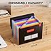 Sooez Accordion File Organizer, 13 Pockets Expanding File Folder, Portable Monthly Paper Bill Tax Receipt Organizer, Letter A4 Size Document Holder with Blank Labels, Black