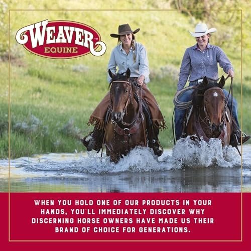 Image of Weaver Equine Prodigy F3 Horse Sport Boots