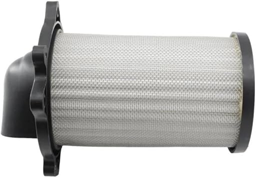 Air Filter Box Motorcycle Engine Air Filter Cleaner,Air Intake Filter for GZ125 for GZ250 1998-2011 for GZ150-A for GZ150150