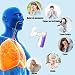 Wholede Nebulizador Electrico Portatil Mini Inhalador Atomizador Ruido Bajo Silenciosos Ultrasónico con...