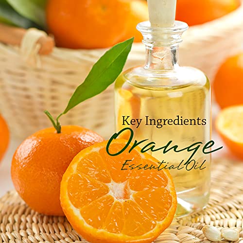 Viois, Orange & Citrus Aromatherapy Car Air Freshener(Gel Type). Handcrafted Natural Air Freshener For Car And Small Room. Chemical Free & Non-Toxic. #TOP7
