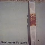 fosgate signature phono  Rochester Fosgate
