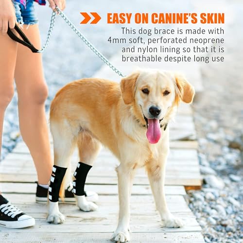 Image of NeoAlly Dog Canine Braces for Rear Legs Super Supportive with Dual Metal Spring Inserts to Stabilize Dog Hind Legs, Help Dogs with Injuries, Sprains, Arthritis, ACL (S Pair)