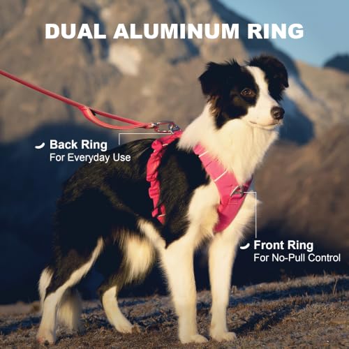 Daily Roam Dog Harness, Magnetic Buckles, Black, L - Image 3