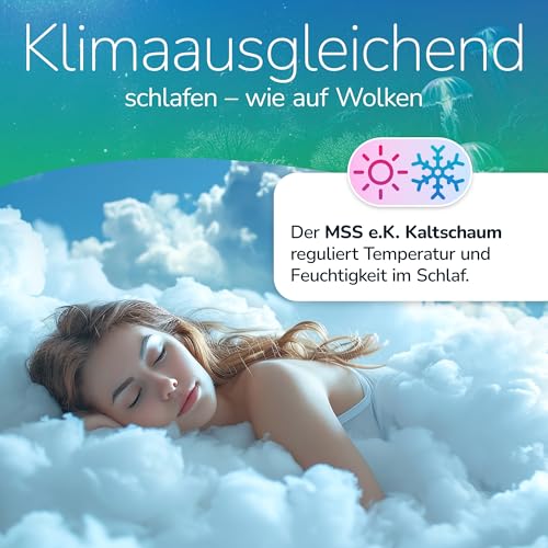 MSS e.K. Aqua Deluxe - 7 Zonen Wellness Kaltschaummatratze - 90 x 180 cm x 16 cm (Kernhöhe 14 cm) - Härtegrad H2 & H3 - Matratze Wendematratze Kaltschaum Oeko-TEX