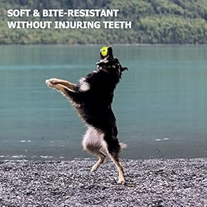 Besthls Dog Tennis Ball 2 Inch Pet Toy Rubber Balls for Pet Puppy Tiny Small Dogs Fetching Exercise  Training 16 Pack  Cucciolini Doodles Besthls dog tennis ball 2 inch pet toy rubber balls for pet puppy tiny small dogs fetching exercise  training 16 pack   cucciolini doodles