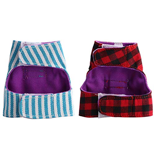 Lecxin Imbracatura per criceti e Fune di trazione