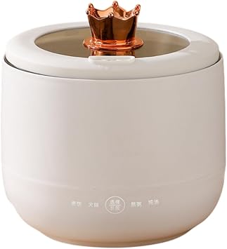 Amecke Rice Cooker Mini Electric Cooking Pot, Multi-functional Household Intelligent Electronic Pot, Small Pot for One Person Multi-functional Non-Stick Rice Cooker/Rice Cooker, Rice Pot Necessary for