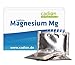 Produktbild CADION Premium | Magnesium Mg - 50 Portionen | Magnesiumcitrat | 375mg/Portion