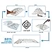 Vacwel 14-Pack Variety - Ziplock Vacuum Storage Bags for Clothes - Space Saver Bags for Packing Clothes - Vacuum Space Bags – 4xJumbo (43x30in) +4xLarge (32x21in) +6xMedium (28x20in) +Bonus Hand Pump