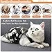Kodervo Cat Recovery Suit for Abdominal Wounds or Skin Diseases, Breathable Cat Onesie for Cats After Surgery Spay Neuter, Anti Licking Cat Cone Alternative, Professional Pet Surgery Recovery Shirt