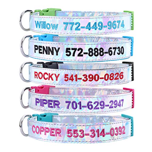 Personalized Dog Collar, Shiny Holographic Custom Embroidered Pet Name Phone Number for Boy