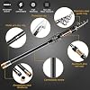 BlueFire Fishing Rod Kit, Carbon Fiber Telescopic Fishing Pole and Reel Combo with Spinning Reel, Line, Lure, Hooks and Carrier Bag, Fishing Gear Set for Beginner Adults Saltwater Freshwater