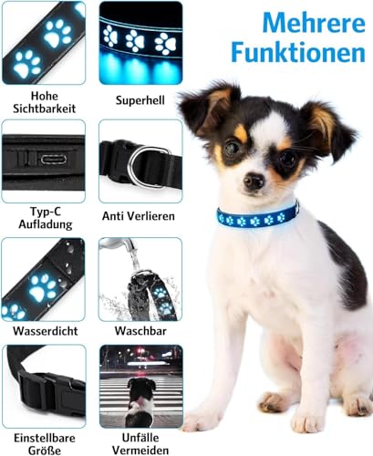 Brifit Leuchthalsband Hund Aufladbar mit 14 Lichtmodi, LED Halsband Hund Leuchtend Wasserdichtes, Silikonmaterial lässt Sich Leicht Anpassen Hundehalsband, für Kleine Mittlere Hund - S 【30cm - 40cm】