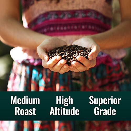 Natural Force - Organic Clean Decaf Coffee, Mold & Mycotoxin Free, Lab Tested For Toxins & Purity, Low Acidity, Incredible Taste & Aroma, Whole Bean Swiss Water Decaf Medium Roast, 12 Oz #TOP4