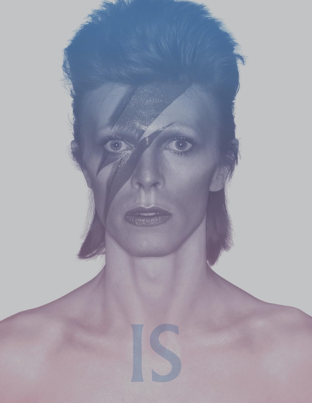 David Bowie Is: Inside the Visionary World of David Bowie      Paperback – October 7, 2025