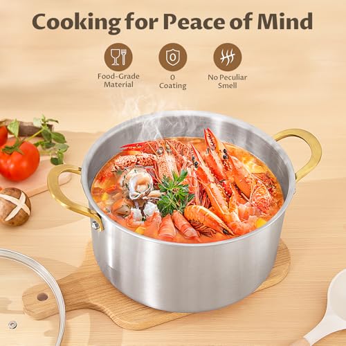 image for BEZIA 6 Quart 3-Ply Stainless Steel Stockpot, Soup Pot with Lid in Ful