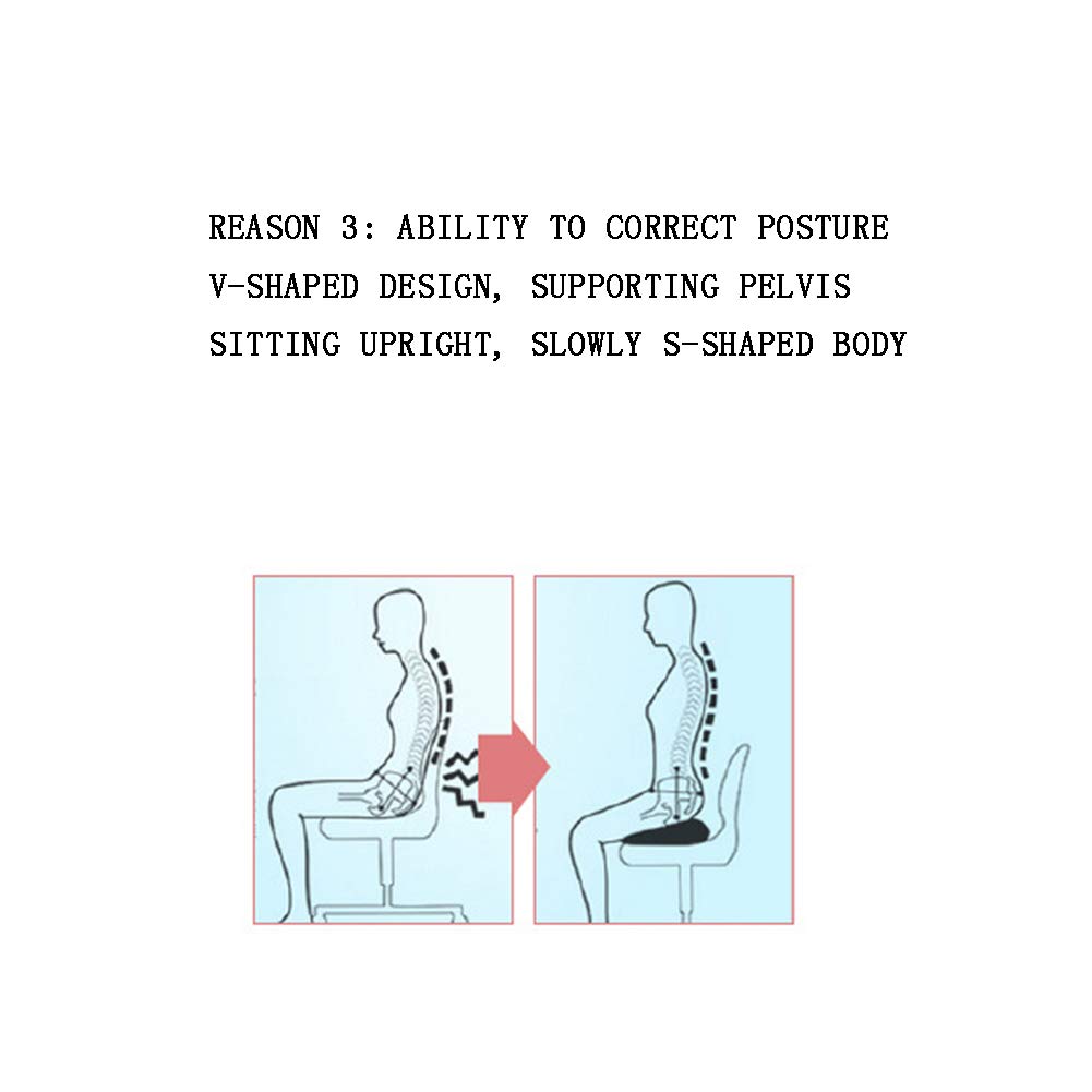 AIZYR Cuscino di Seduta Ortopedico, Cuscino di Supporto in Memory Foam per Sciatica - per La Riduzione della Pressione, Adatto per Seggiolino Auto, Casa/Dolore al Coccige E All'anca,Marina Militare