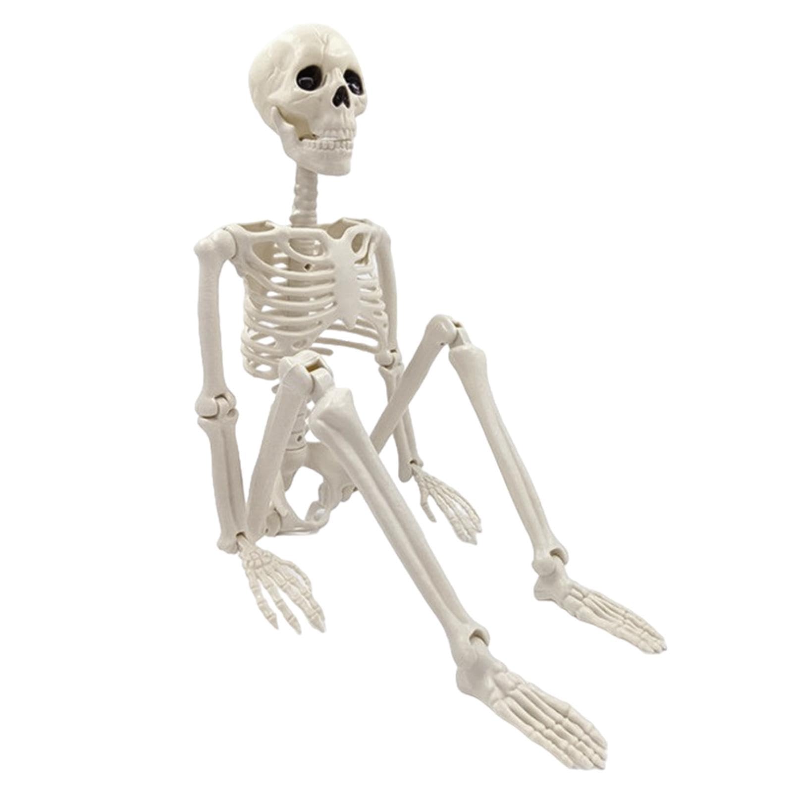Squelette d'Halloween réaliste à corps entier et membres articulés pour extérieur