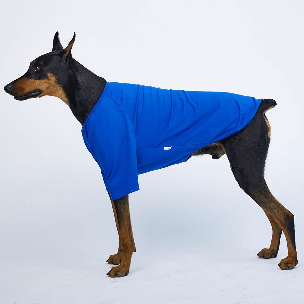 Camisa para perros pequeños, camisetas lisas, suave, transpirable, de algodón para perros, ropa para mascotas (5XL, azul)