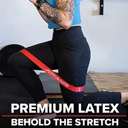 Image of Serious Steel Fitness Mini Resistance Loop Bands | Rehab and Prehab Stretch Bands | 12 inch Exercise Workout Bands (Sets of 5 Pack and Sets of 10 Pack Trainer Options Available!)