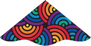 WindNSun Wind Delta Nylon Kite, Swirls, 48 Inches Wide