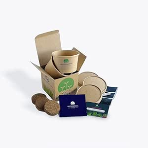 Microgreen Seeds Non GMO. Grow Your Own Super Healthy Organic Salad