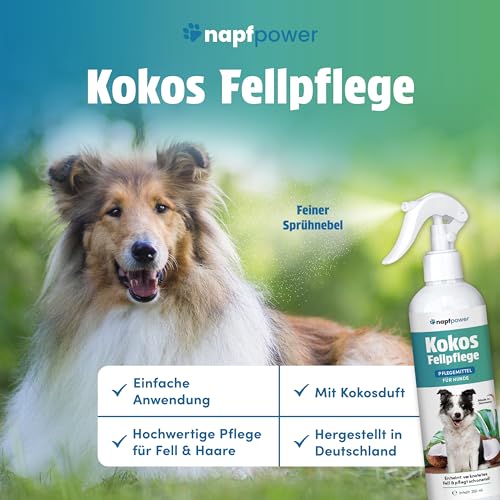 napfpower Fellpflege Hund mit Kokosduft (250 ml) – Entfilzungsspray & Fellglanzspray für einfache Kämmbarkeit – Fellspray für EIN staubfreies Hundefell - Entwirrt verknotetes Fell & pflegt sanft