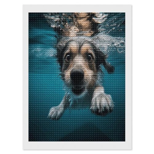 Peinture diamant sous l'eau loisir creatif adulte debutant strass