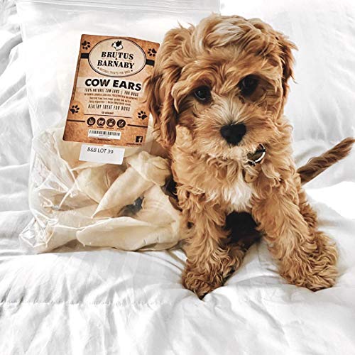 Premium Cow Ears For Dogs, Thick Cut & All-Natural Whole Ears, 100% Grass Fed Beef, No Additives Or Hormones, Safe Rawhide Alternative, Great Dog Treat Alternative To Pig Ears, Bully Sticks, Dog Bones #TOP5