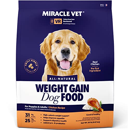 Fuel Your Dog's Muscles with These 10 High Protein High Fat Dog Foods