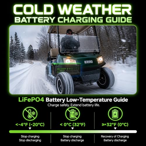 Image of 48V 100Ah LiFePO4 Golf Cart Battery, 10.24kW Peak Power & 4000+ Cycles, Built-in 200A BMS | with 48V 18A Lithium Battery Charger, LCD Screen & APP Monitoring | for Golf Carts, RV, Marine