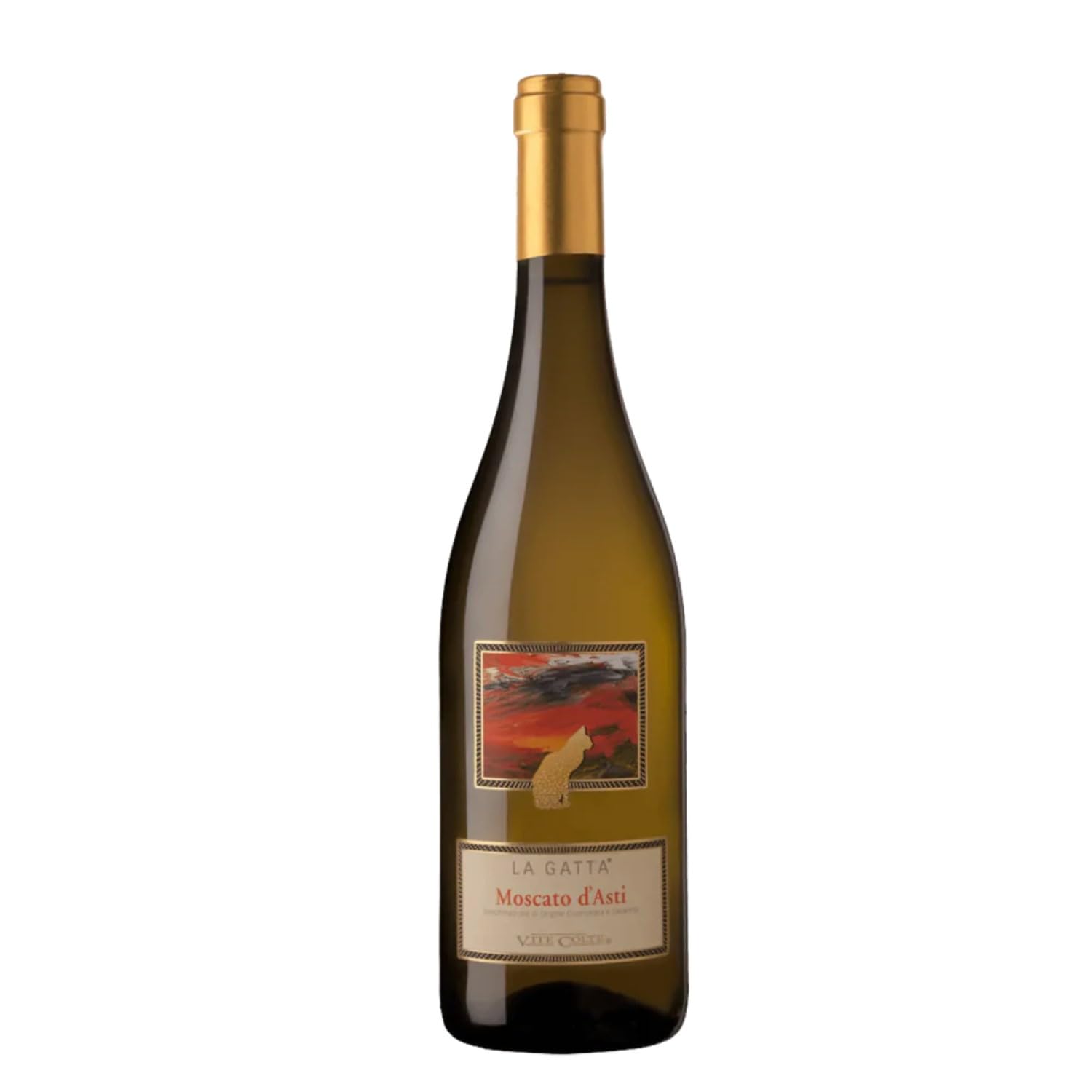 Terre Da Vino Vite Colte Moscato D'Asti La Gatta Moscato Weißwein weiß süß Piemont Italien inkl. FeinWert E-Book (6 x 0,75l)