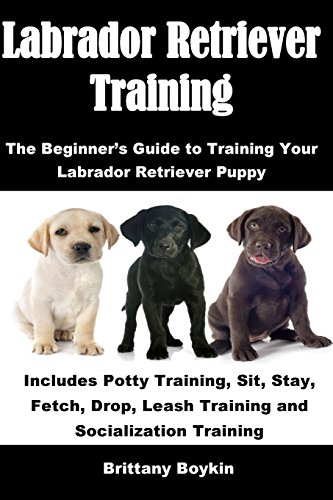Labrador Retriever Training: The Beginner’s Guide to Training You...