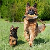 Enten-Dummys-Stoßfänger: Vogel-Trainings-Dummys für das Training von Jagdhunden, Entenspielzeug für Hunde, imitiert tote Enten-Stoßfänger-Spielzeug für das Wasservogel-Jagd-Retriever-Hundetraining