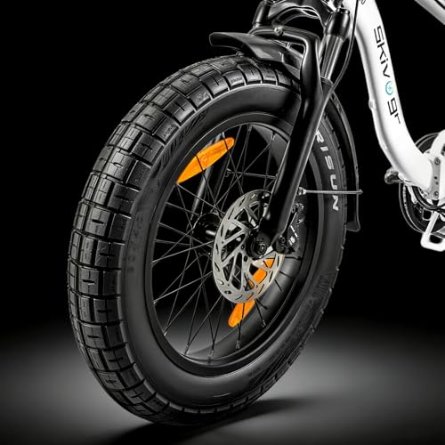 20''E-Bike Klapprad, Faltbares City Elektrofahrrad mit 48 V 20Ah Lithium Akku, Doppelsensoren, 8-Gang Getriebe, 250W Motor, 4.0" Fettreifen, Pedelec EBike für Erwachsene, Herren Damen. – Bild 3